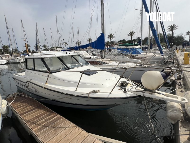 Bayliner Trophy 2359