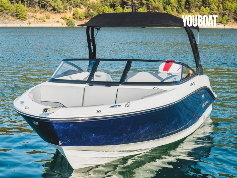 Bayliner V20