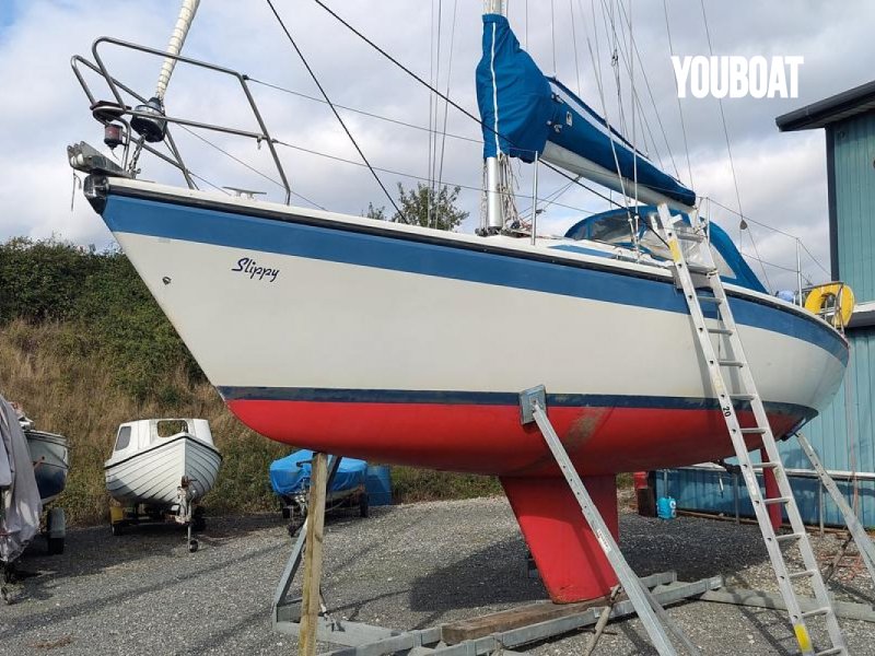 Dehler 31 for sale by 
