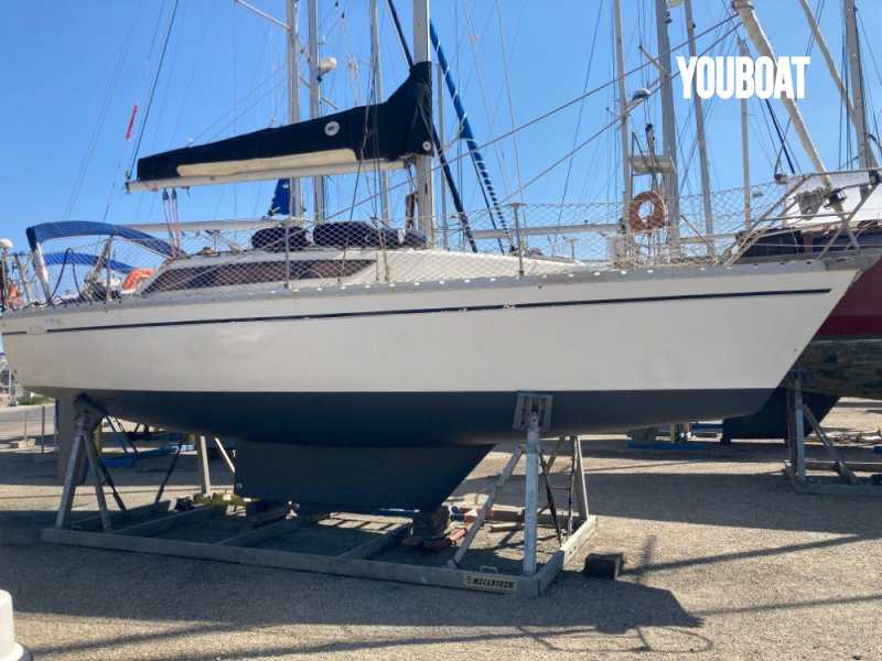 Vente Jeanneau Arcadia occasion Voilier Croisière à GRUISSAN, France