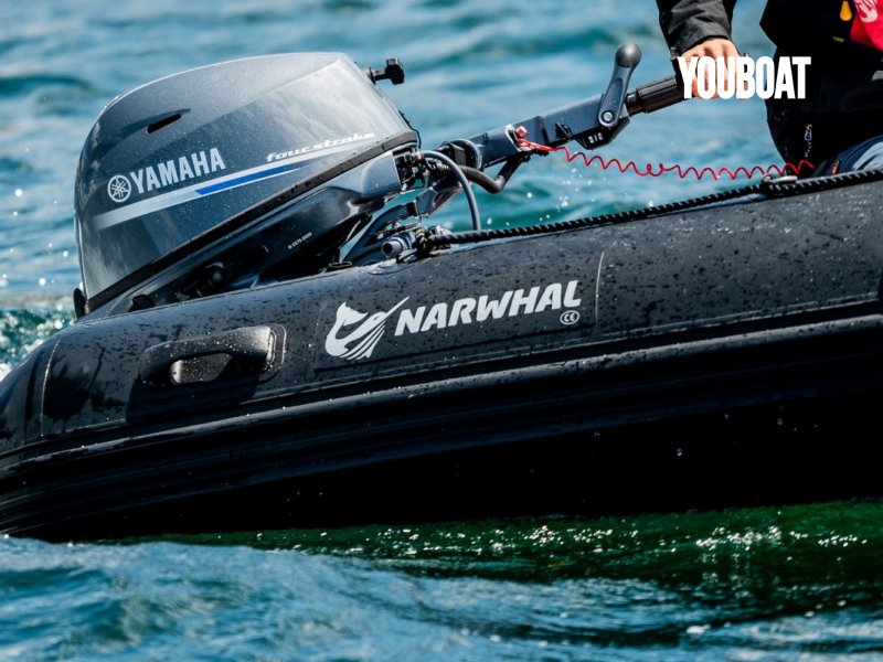 Narwhal GH 470 - 25ch Yamaha (Ess.) - 4.7m - 13.753 €