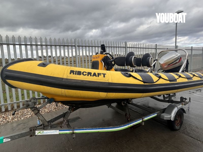Ribcraft 4.8 for sale by 