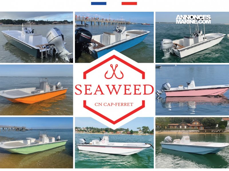 Seaweed Seaweed 535 Console  vendre - Photo 1