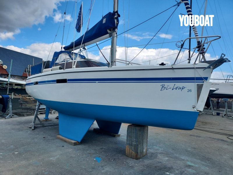 Wrighton Biloup 26 à vendre - Photo 2