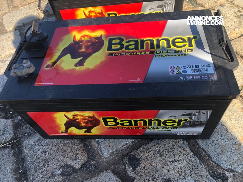Batterie et Accessoire BATTERIE BANNER BUFFALO BULL SHD PRO � vendre - Photo 1