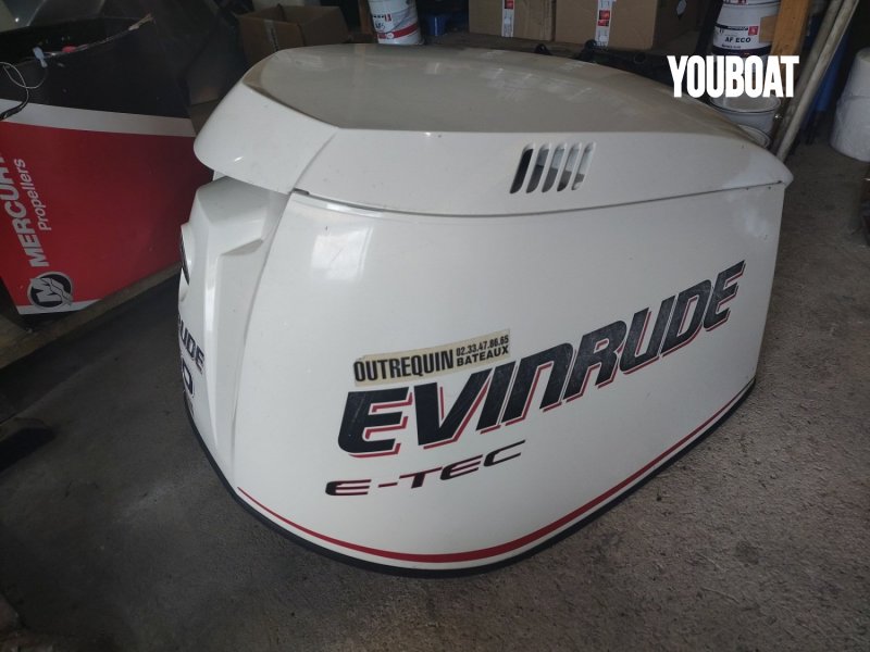Evinrude ETEC 250 XL