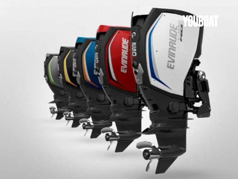 Evinrude H 200 H.O - 200cv Evinrude (Gas.) - 200ch - 2019 - 23.900 €