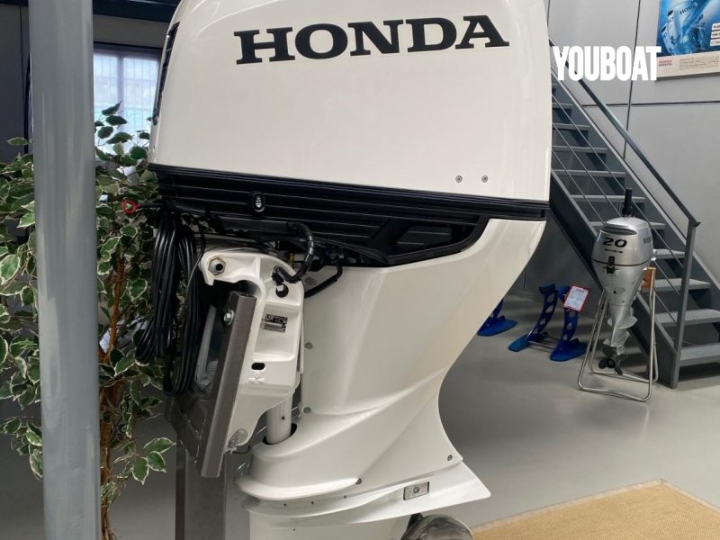 Honda BF 250 D  nuovo in vendita