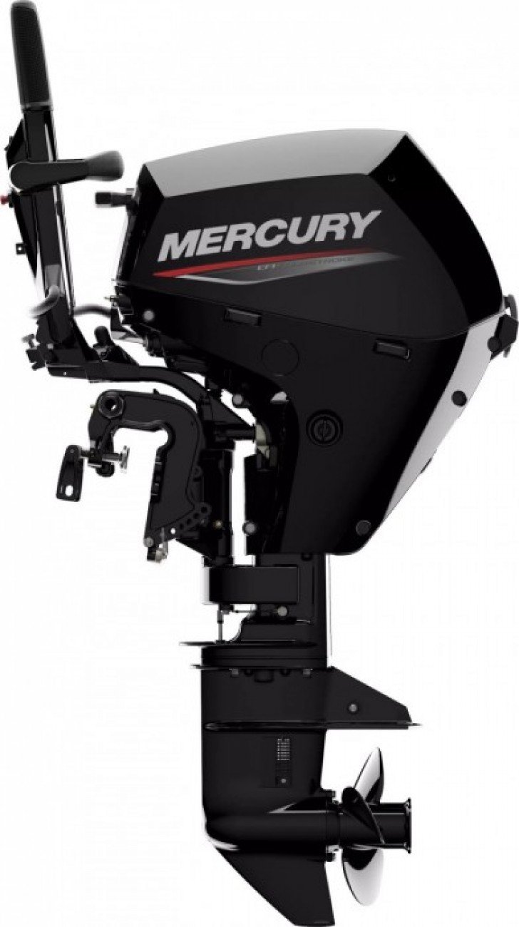 Mercury 30 EFI ELHPT  vendre - Photo 1