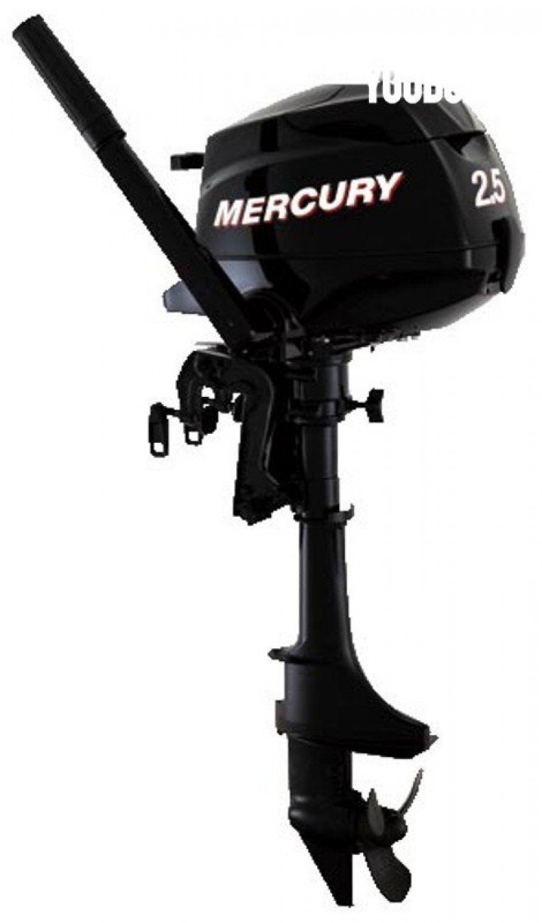 Mercury F 2.5 - 2.5ch Mercury (Ess.) - 2.5ch - 2023 - 1.180 €