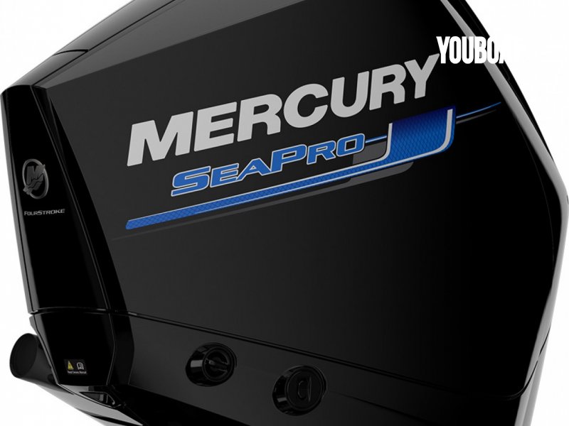 Mercury F 250 DTS SEAPRO - 250ch Mercury (Ess.) - 250ch - 2022 - 26.487 €