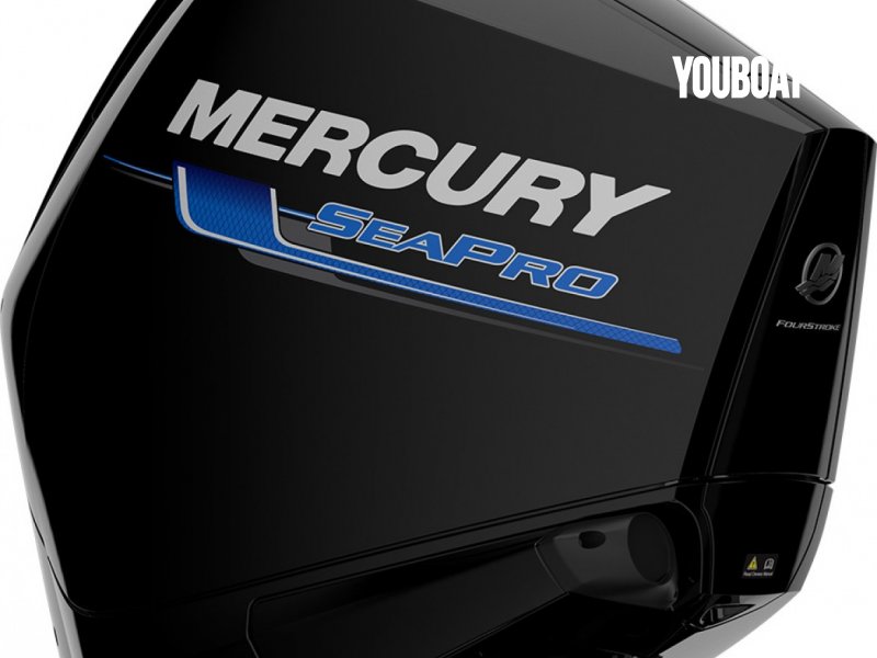 Mercury F 250 DTS SEAPRO - 250ch Mercury (Ess.) - 250ch - 2022 - 26.487 €