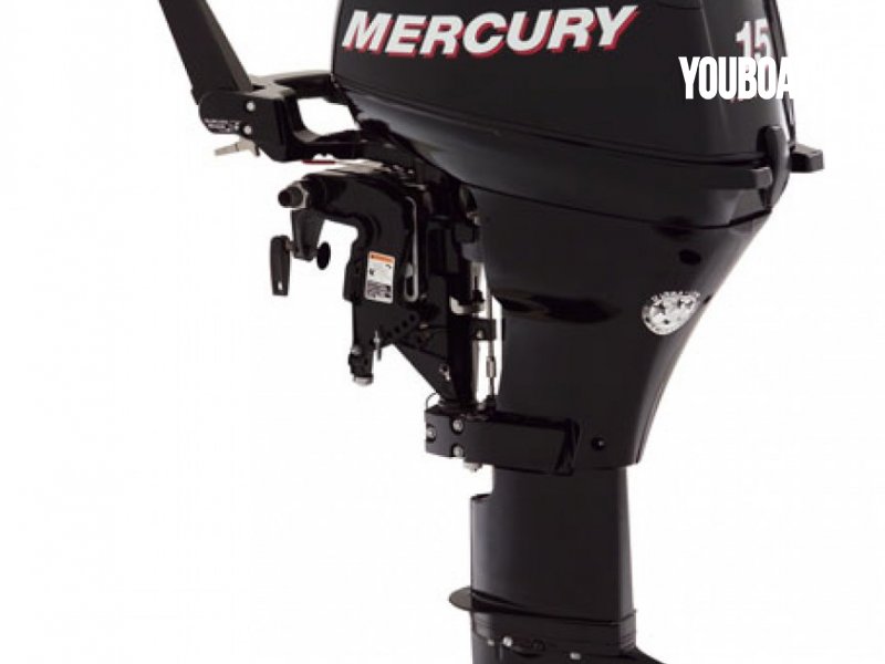 Mercury F 5 à vendre par 