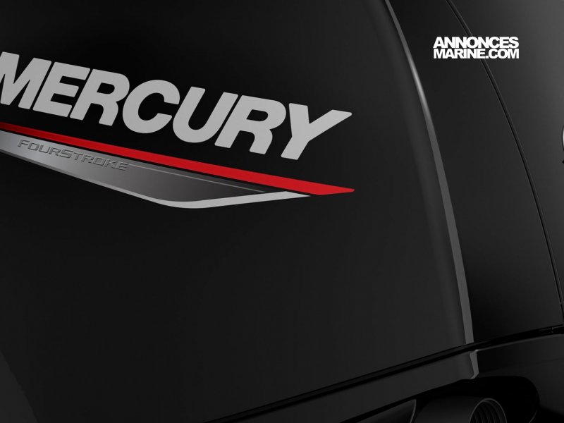 Mercury F150 EFI  vendre - Photo 1