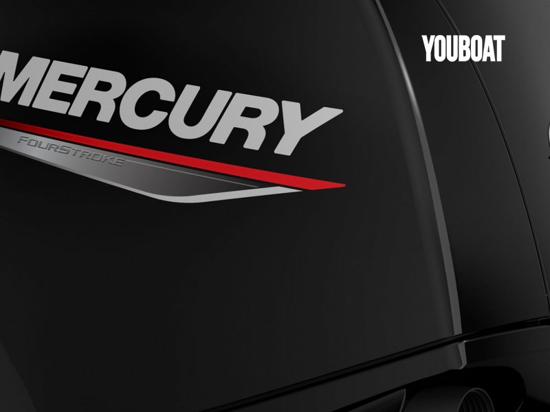 Mercury F150 EFI neuf à vendre