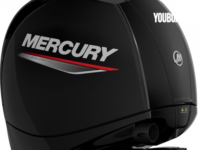 Mercury F150 EFI ELPT *Offre Remotorisation Dispo saison 2024 L-XL  !!! - 150ch Mercury (Ess.) - 150ch - 2024 - 17.314 €