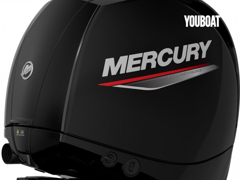 Mercury F150 EFI ELPT *Offre Remotorisation Dispo saison 2024 L-XL  !!! - 150ch Mercury (Ess.) - 150ch - 2024 - 17.314 €