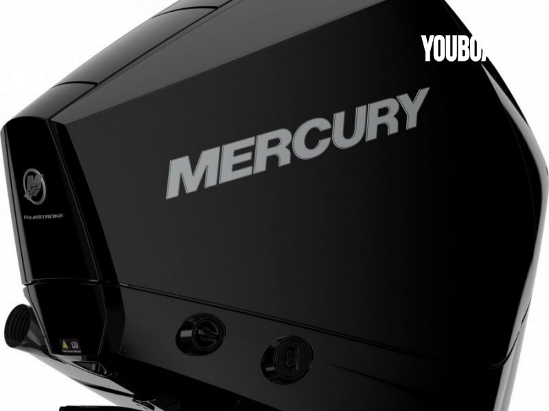 Mercury F200 EFI V6 NEW - 200PS Mercury (Ben.) - 200ch - 24.226 €