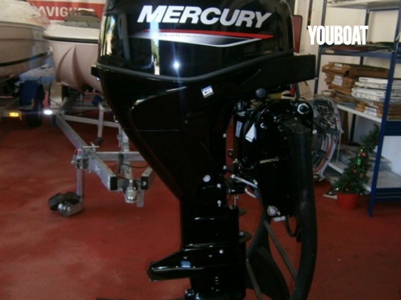 Mercury F30ELPT EFI - 30ch Mercury (Ess.) - 30ch - 2022 - 6.450 €