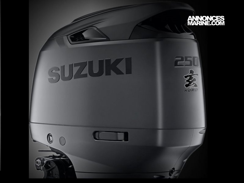 Suzuki DF250 KURO  vendre - Photo 1