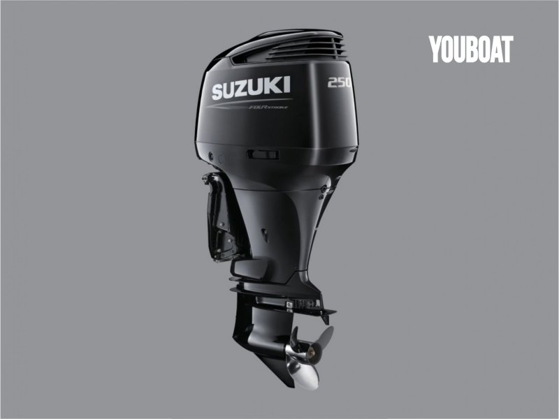 Suzuki DF250APXX - 250hp Suzuki (Ben.) - 250ch - 2024 - 24.390 €