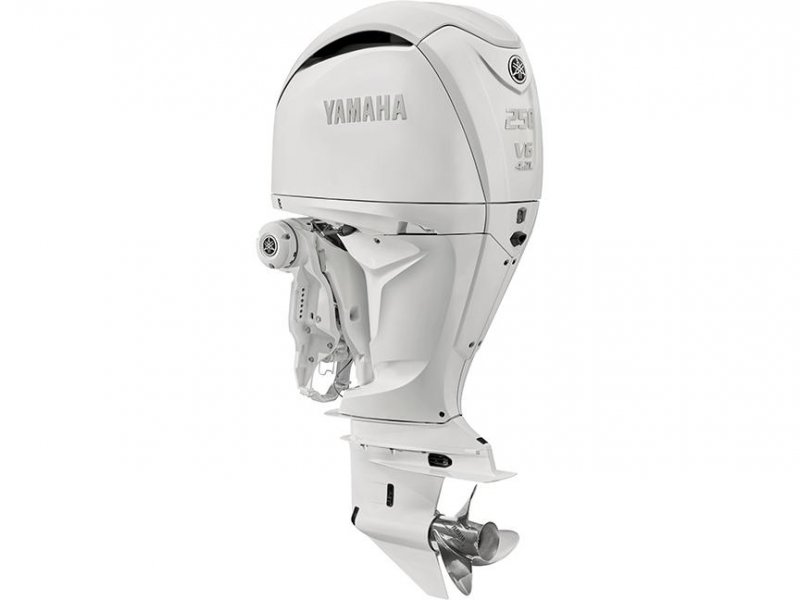 Yamaha F250 NSB  vendre - Photo 1