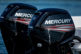 Mercury F100 ELPT  vendre - Photo 1
