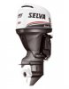 moteur Selva 115 cv 4 Tps