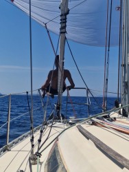 Beneteau First 32  vendre - Photo 39