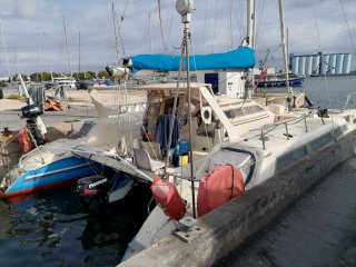 bateau occasion Edel Edel Cat 35 PORT NAVY SERVICE