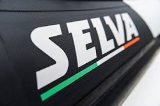 Selva D 650 Family S Line  vendre - Photo 9