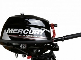 Mercury ME-F2.5MH  vendre - Photo 2