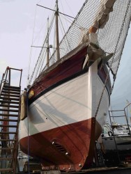 Brauer Shipyard Goelette  vendre - Photo 10
