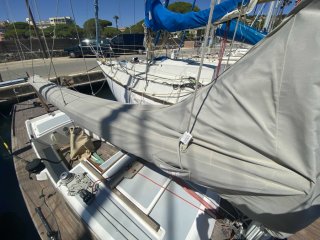 So Much Yachting Requin  vendre - Photo 4