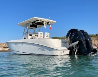  Boston Whaler 320 Outrage occasion