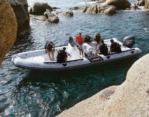 bateau neuf Zodiac Pro Classic 850 CLINIQUE DU BATEAU
