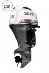 moteur Selva 225