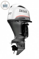 moteur Selva 250