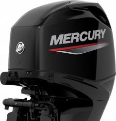 Mercury F50 COMMAND TRUST  vendre - Photo 2