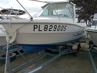 bateau Clear Liner Fisher 530