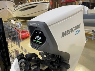 Mercury Avator 7.5e  vendre - Photo 2