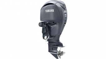 Yamaha F250NSB  vendre - Photo 1
