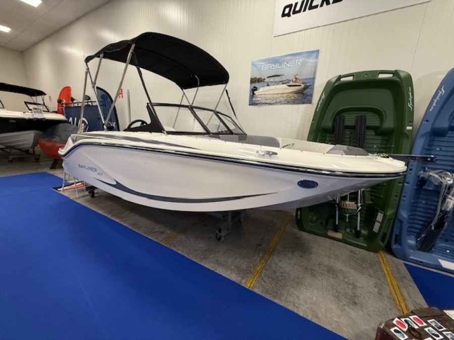 Bayliner Element M17 à vendre par 