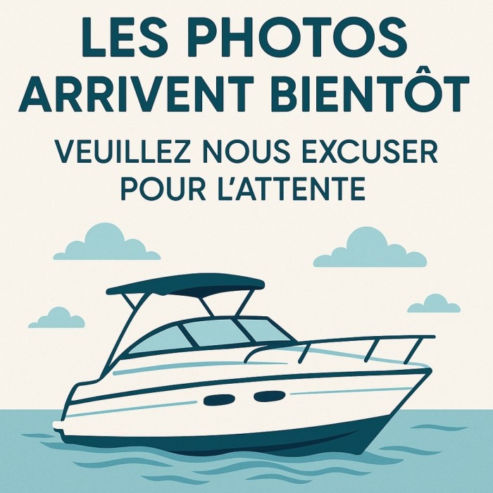 Sea Ray 190 BR à vendre par 