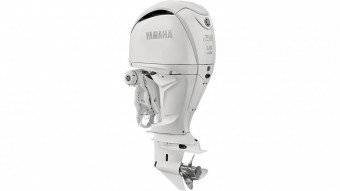 Yamaha F250 NCBX  vendre - Photo 2
