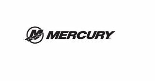 Mercury 9.9 CV MLH � vendre - Photo 2