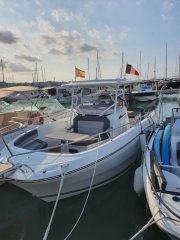 achat bateau   ALLIANCE NAUTIQUE 66