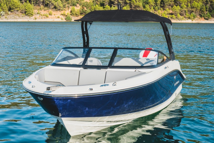 Bayliner V20