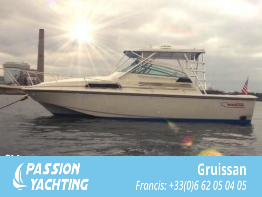Boston Whaler 31 used