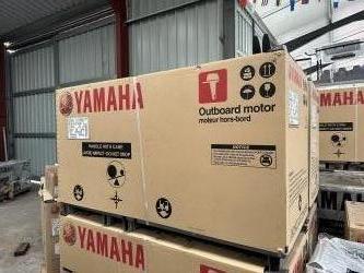 Yamaha F100 LB  vendre - Photo 3